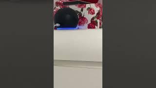 Amazon Alexa Alarm Sound