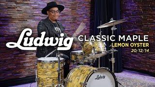 Ludwig Classic Maple Drum Set 20/12/14 - Lemon Oyster (L84023AXA2)