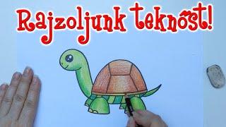 Rajzoljunk teknőst! (Gyerekeknek)