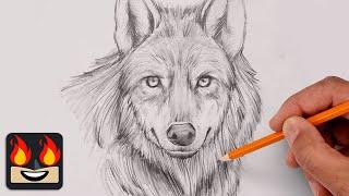 How To Draw a Wolf | Sketch Tutorial