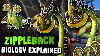 Zippleback Biology EXPLAINED  | How To Train Your Dragon
