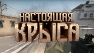 Настоящая крыса | CS:GO | Good Games