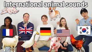 Animal Sound Differences Around The World!