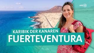 Fuerteventura - Caribbean of the Canary Islands and surfing paradise | ARD Reisen