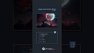 Image Zoom Hover Effect In CSS #codechallenge #coding #mrcodding s#shorts #short #shortsfeed