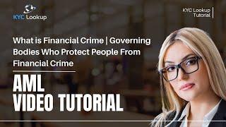 What is Financial Crime | Anti-Money Laundering | Governing Bodies Who Protect From Financial Crime