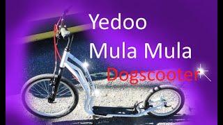 Yedoo Tretroller Mula Mula - Dogscooter