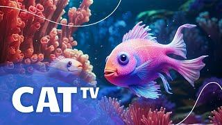 Cat TV - 12 Hours of Underwater Diving for Cats - Underwater Adventure & Coral Reefs! Sleepy Cat