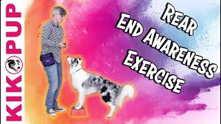 Rear End Awareness Exercise - Professional Dog Training