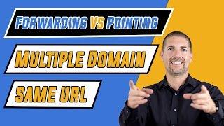 SEO: Forwarding Vs Pointing Multiple Domain Names to Same URL