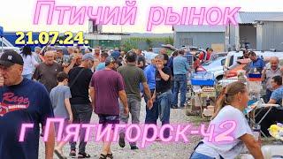 Pigeons and prices Bird market in Pyatigorsk -ch2