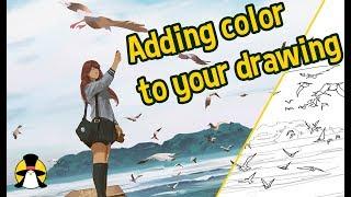 Adding color to your drawing