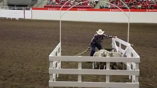 2017 Calgary Stampede - World Stock Dog Championship