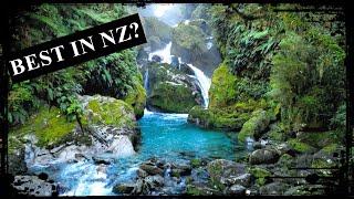 New Zealand's MILFORD TRACK "The FINEST Walk in the World?"  Great Walks of New Zealand