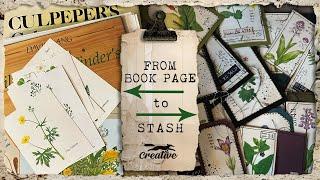 Transform Book Pages Into An Exciting Stash Of Ephemera: Mass Make!