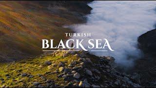 See The Black Sea, Feel Alive