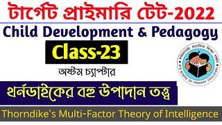 Multiple Factor Theory of Intelligence | Thorndike's Multi-Factor Theory || CDP for Primary Tet-2022