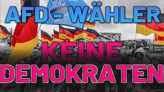 AfD Wähler sind keine Demokraten nur "brauner MIST"