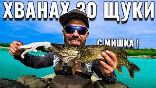 ХВАНАХ 30 ЩУКИ С МИШКА !! Риболов Мечта !