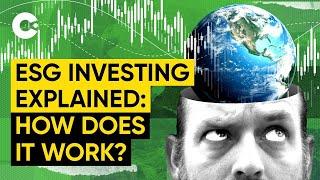 ESG Investing Beginner Guide: What Is it and Why do Some Hate it So Much?