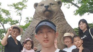 Лесной медвежий парк в Корее.