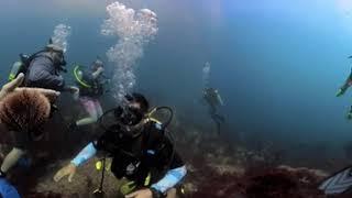 San Pedro Island  5 • Scuba Diving w Dillon • 360° in 4K • 6/13/23