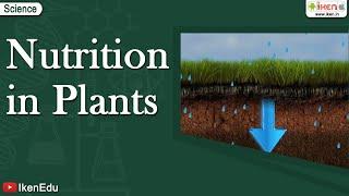 Nutrition in Plants | Class 9 Science | iKen