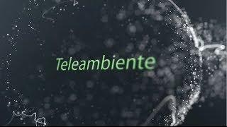 Teleambiente #1