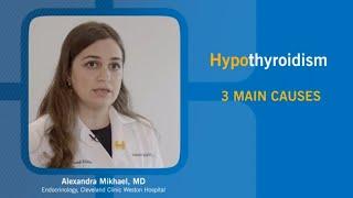 What Causes Hypothyroidism?