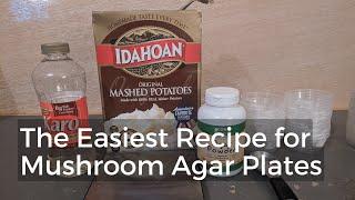 The Easiest Agar Recipe for Mushroom Cultivation: Making Agar Plates