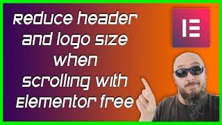 Reduce header and logo size when scrolling with Elementor free
