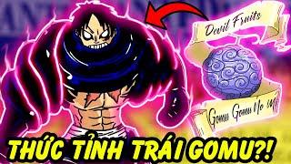 Trái Gomu Mạnh Cỡ Nào?! | Nguồn Gốc Trái Ác Quỷ Của Luffy!