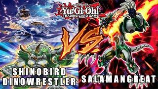 Yu-Gi-Oh! Shinobird Dinowrestler vs Salamangreat - Lages (Pré-Banlist Julho 2019)