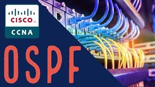 OSPF Default Route | Cisco Configuration