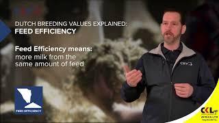 Feed Efficiency