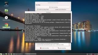 How to Install Google Chrome 64 bits on Linux Mint 17.2