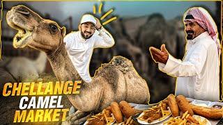 ARABI bhai ne CHALLENGE Kar Diya  Camel Mandi, Bakra Mandi, Cow Mandi