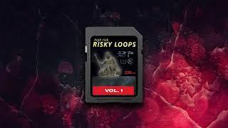 [FREE] Trap x RnB Sample Pack | Free Loop Kit 2021 | 12 Melodies for Beats ~ RISKY LOOPS Vol. 1