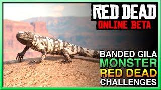 Red Dead Redemption 2 Online Banded Gila Monster Location - Red Dead Online Daily Challenge Guide