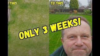 My EPIC Lawn transformation! (already THIS GOOD in just 3 weeks!)