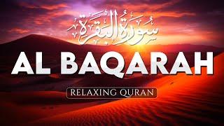 Surah Al Baqarah Full سورة البقره, Heart Touching Holy Quran Recitation - AHMAD AL SHALABI