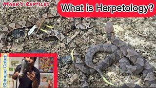 What is Herpetology?
