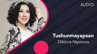 Dildora Niyozova - Tushunmayapsan | Дилдора Ниёзова - Тушунмаяпсан (AUDIO)