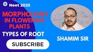 Types of root|Morphology in Flowering plants class 11|NEET