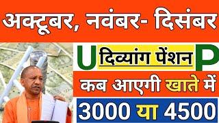 UP दिव्यांग पेंशन कब आएगी | Divyang Pension Kab Aayegi | विकलांग पेंशन |  Pension Kab Aayegi 2024 |