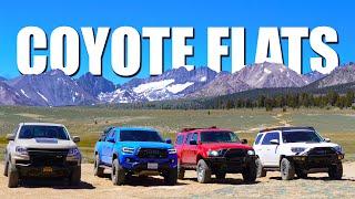 Overlanding in the Eastern Sierra - Exploring the many trails of Coyote Flats