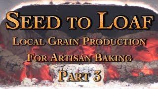 Seed to Loaf Local Grain Production For Artisan Baking Part 3