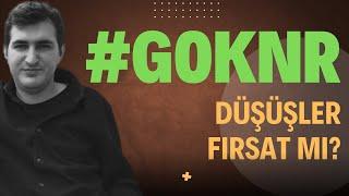 Göknur Gıda ( #GOKNR ) Hisse Temel Analizi