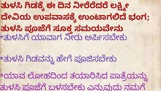 ತುಳಸಿ ಗಿಡಕ್ಕೆ ಈ ದಿನ ನೀರೆರೆದರೆ ಲಕ್ಷ್ಮೀ ದೇವಿಯ ಉಪವಾಸಕ್ಕೆ ಉಂಟಾಗಲಿದೆ ಭಂಗ; ತುಳಸಿ ಪೂಜೆಗೆ ಸೂಕ್ತ ಸಮಯವೇನು