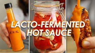 WHY Didn't I Know This BEFORE Buying Hot Sauce | Lacto-Fermented Hot Sauce Recipe